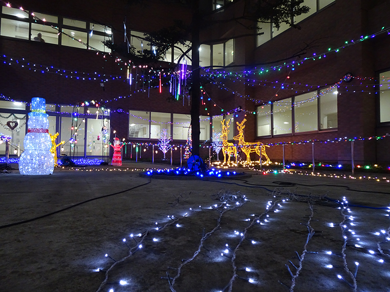 イルミネーション