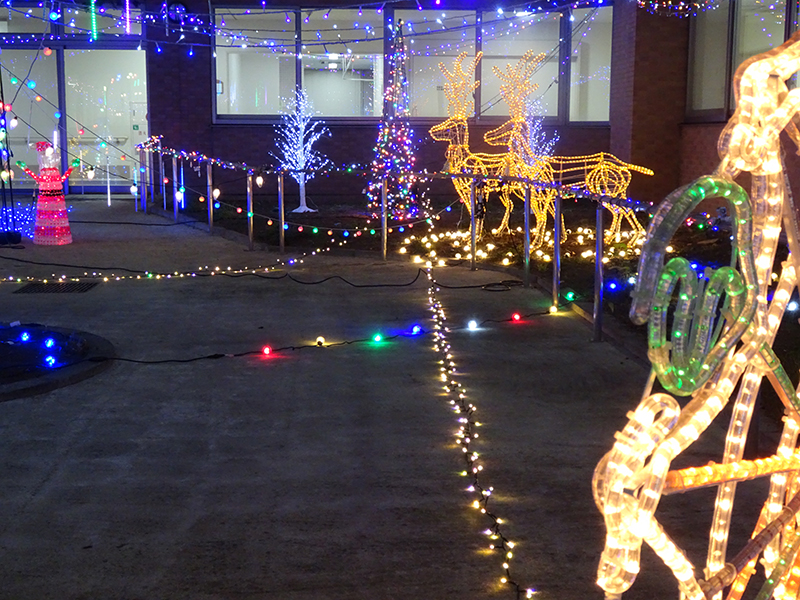 イルミネーション