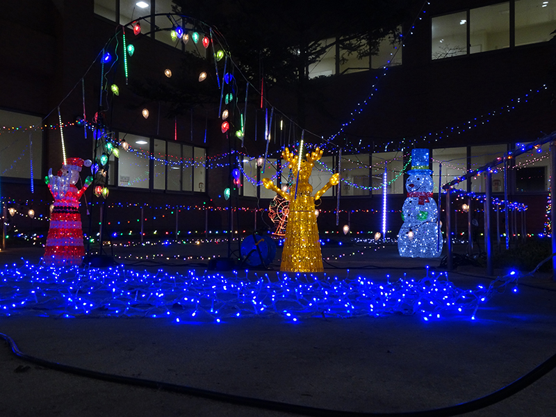 イルミネーション