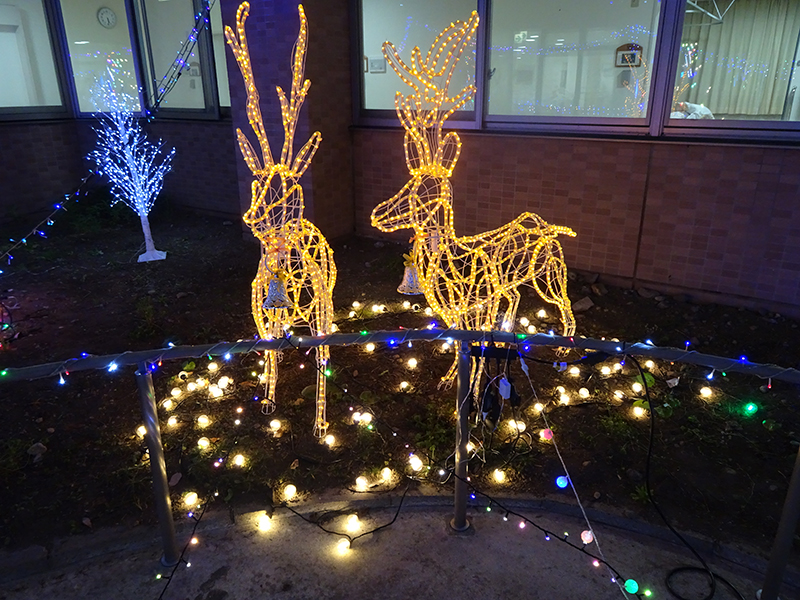 イルミネーション