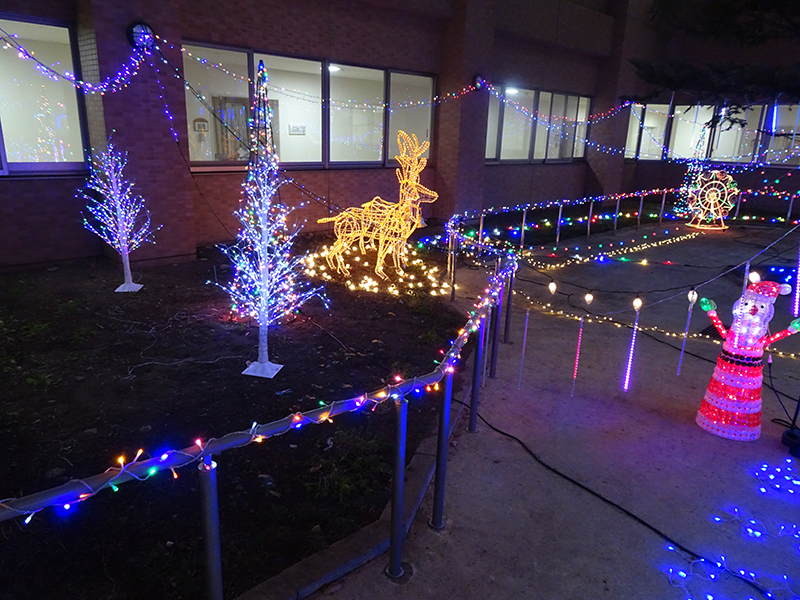 イルミネーション