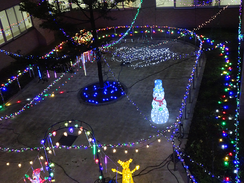 イルミネーション