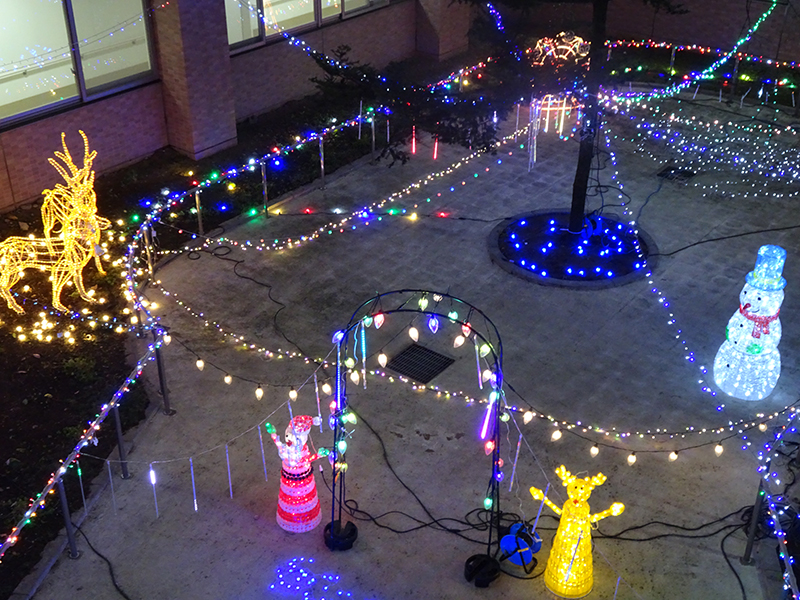 イルミネーション