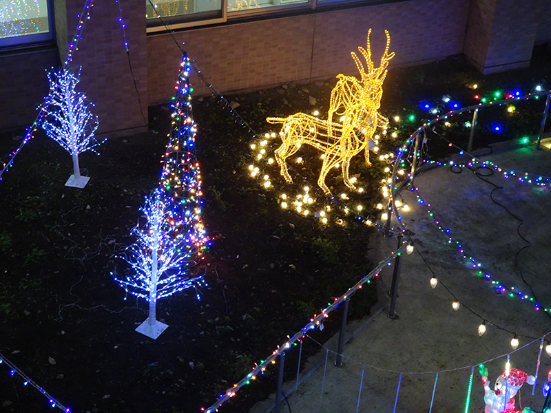 イルミネーション