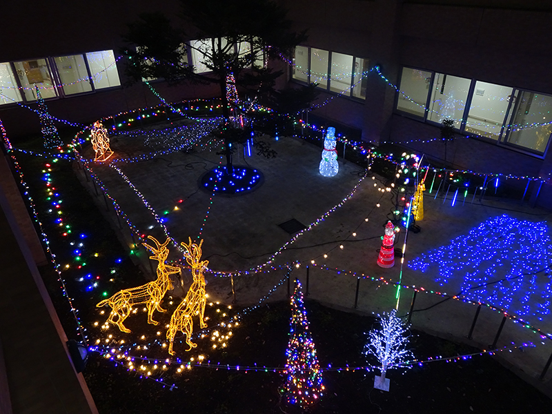 イルミネーション