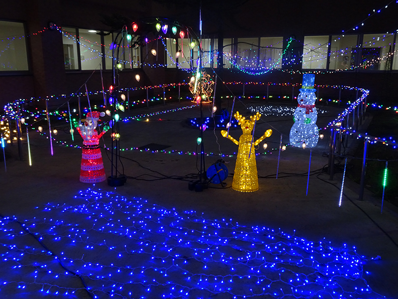 イルミネーション